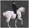 Heidi Osgood-Metcalf LOGO